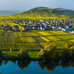 Mosel