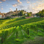 Neive village and Langhe vineyards, Unesco Site, Piedmont, Northern Italy Europe.