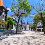 Funchal cityscape with main street at sunny summer day. Travel concept