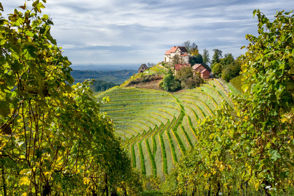 Schloss Staufenberg bei Durbach