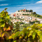 Kroatien, Istrien, Blick durch die Weinberge nach Motovun