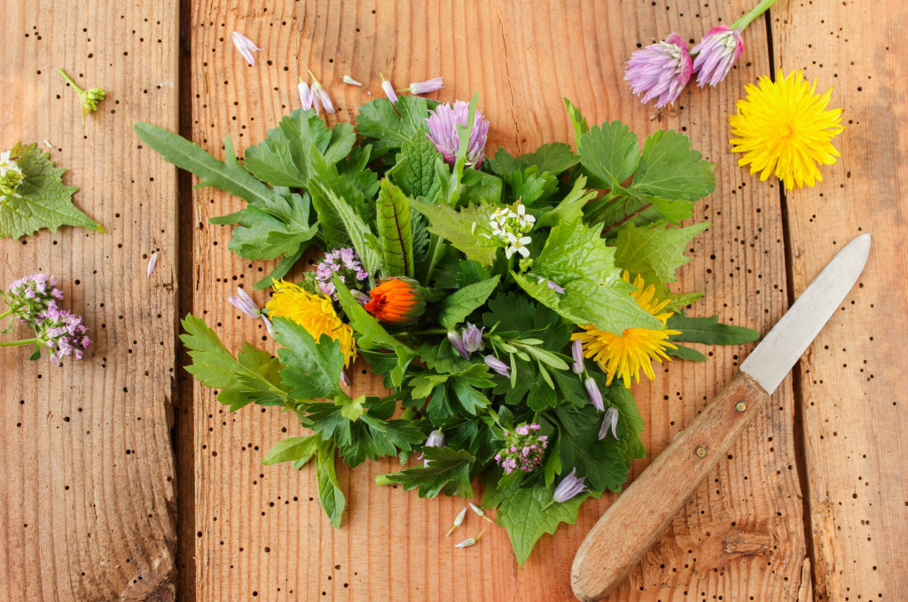 Wildkräuter Salat Wildkräutersalat essbare essbar Blüte Blüten Kräuter